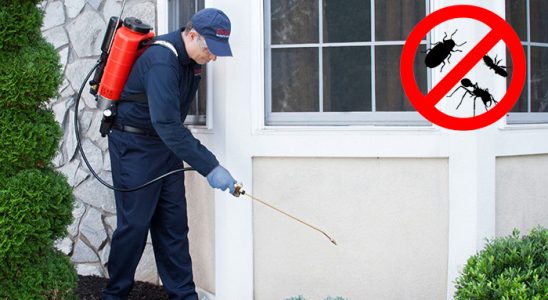 Kula Akrep İlaçlama böcek ilaçlama ve haşere kontrolü — ilaclama-tr.com